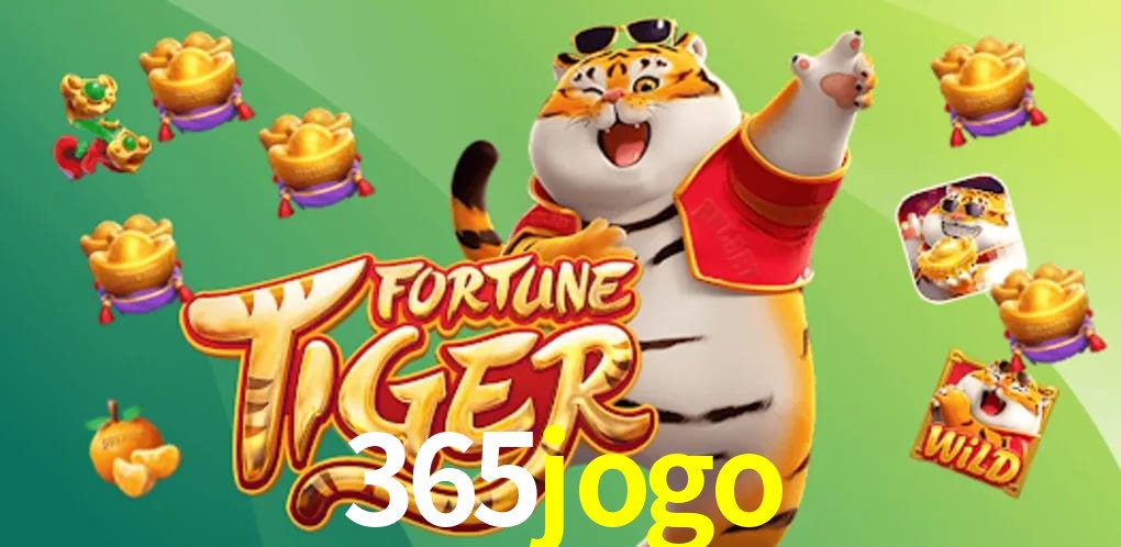 Experiência VIP 365jogo